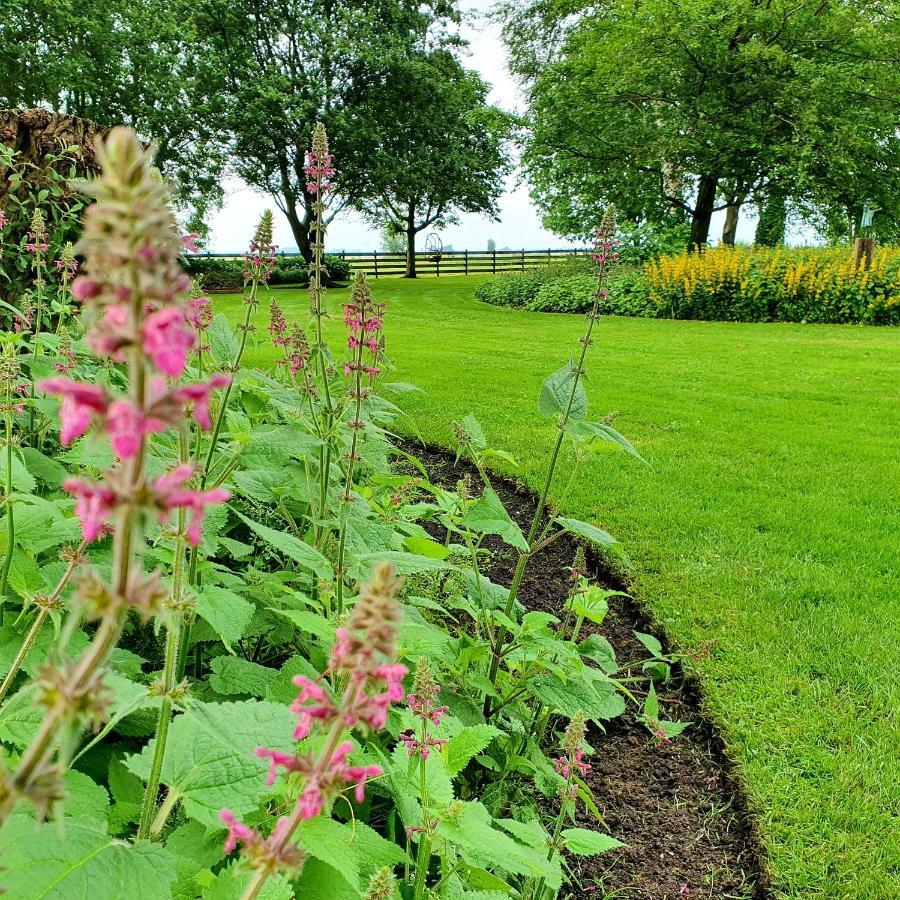 Op Stolk Bed & Breakfast Stolwijk Exteriér fotografie